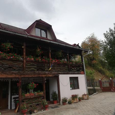 Hotel Casa Cozorici Sadova  Zewnętrze zdjęcie