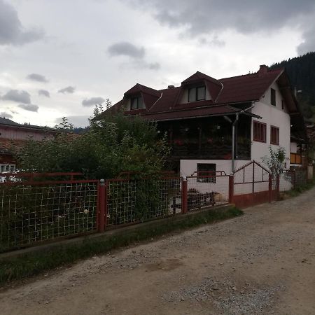 Hotel Casa Cozorici Sadova  Zewnętrze zdjęcie