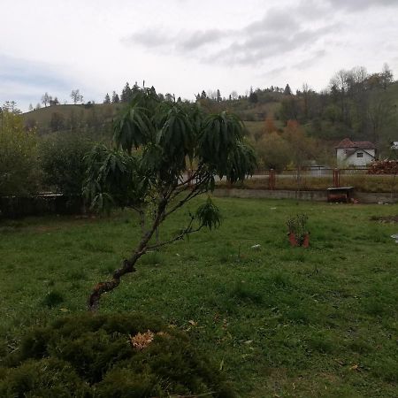 Hotel Casa Cozorici Sadova  Zewnętrze zdjęcie