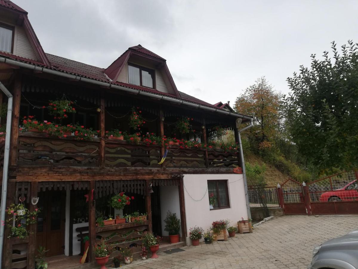 Hotel Casa Cozorici Sadova  Zewnętrze zdjęcie