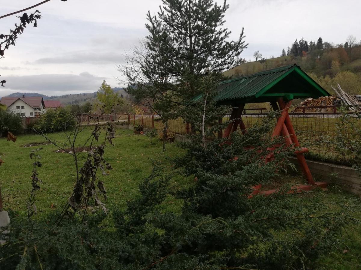 Hotel Casa Cozorici Sadova  Zewnętrze zdjęcie
