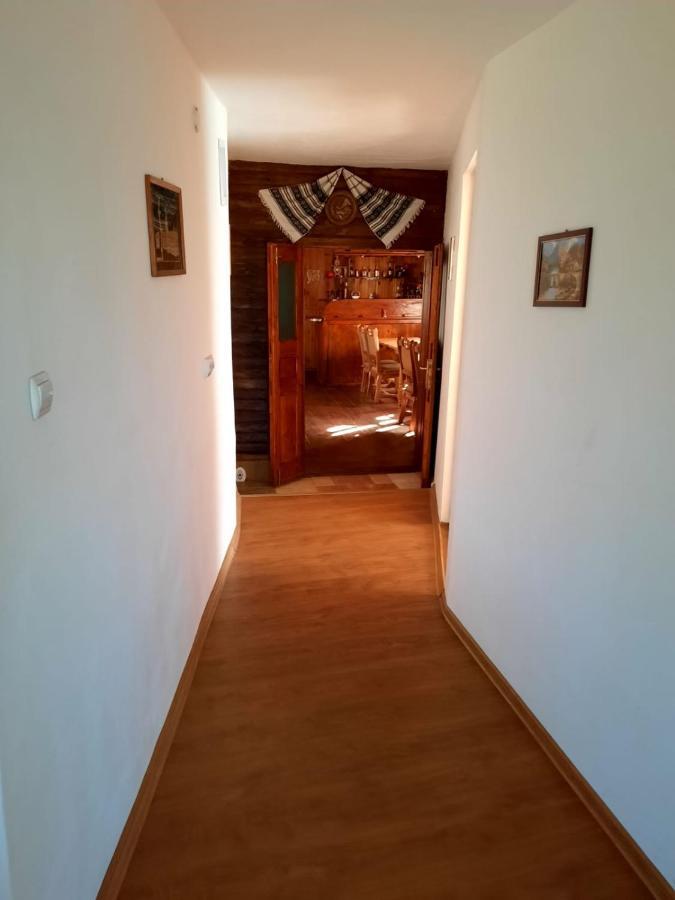 Hotel Casa Cozorici Sadova  Zewnętrze zdjęcie