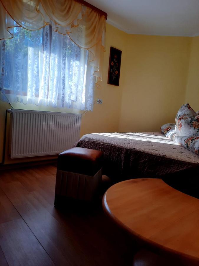 Hotel Casa Cozorici Sadova  Zewnętrze zdjęcie