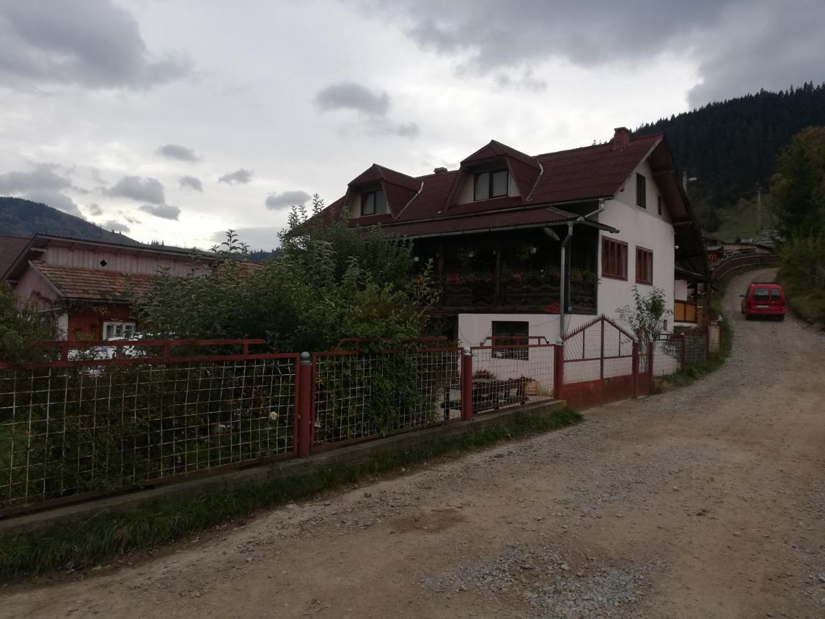 Hotel Casa Cozorici Sadova  Zewnętrze zdjęcie