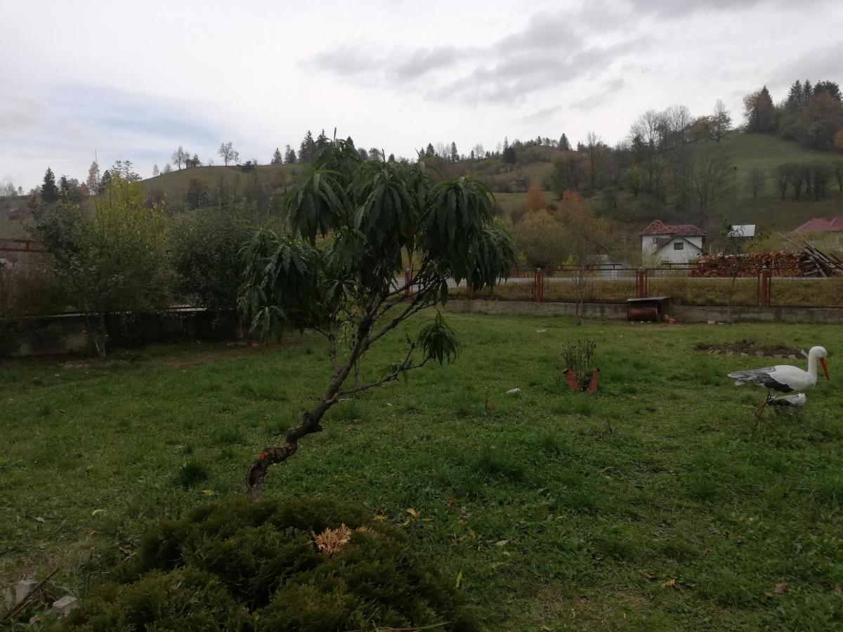 Hotel Casa Cozorici Sadova  Zewnętrze zdjęcie