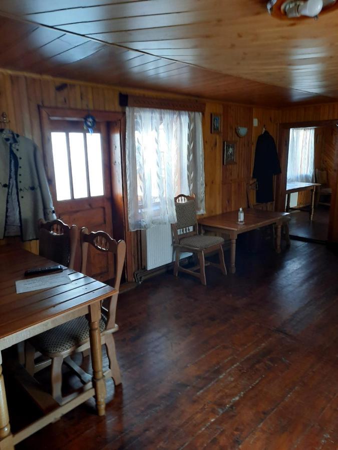 Hotel Casa Cozorici Sadova  Zewnętrze zdjęcie