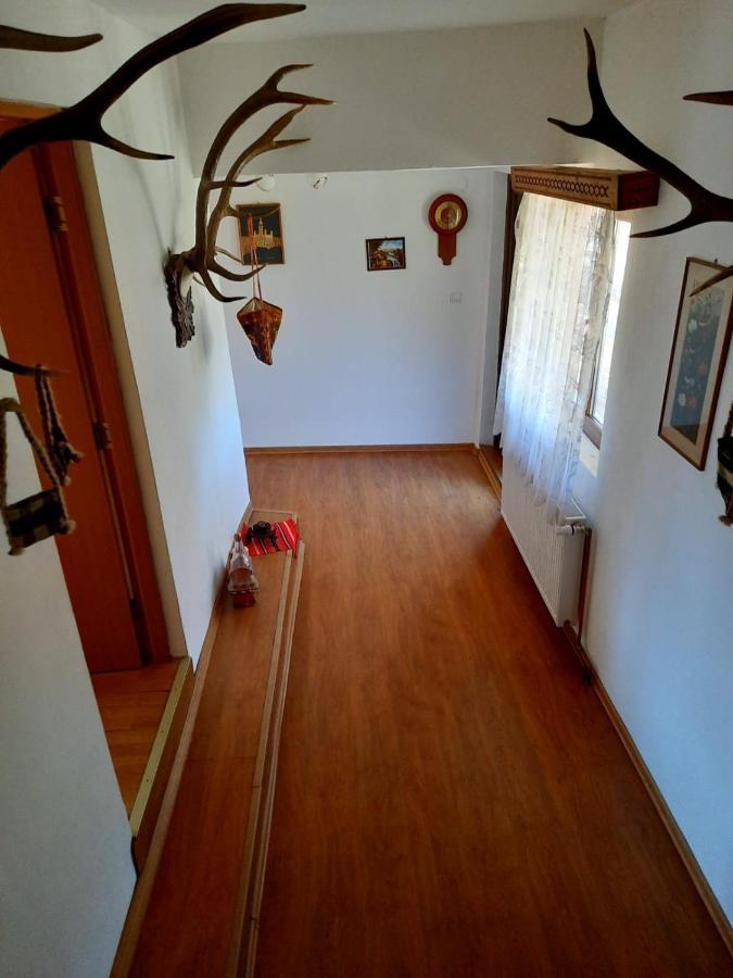 Hotel Casa Cozorici Sadova  Zewnętrze zdjęcie
