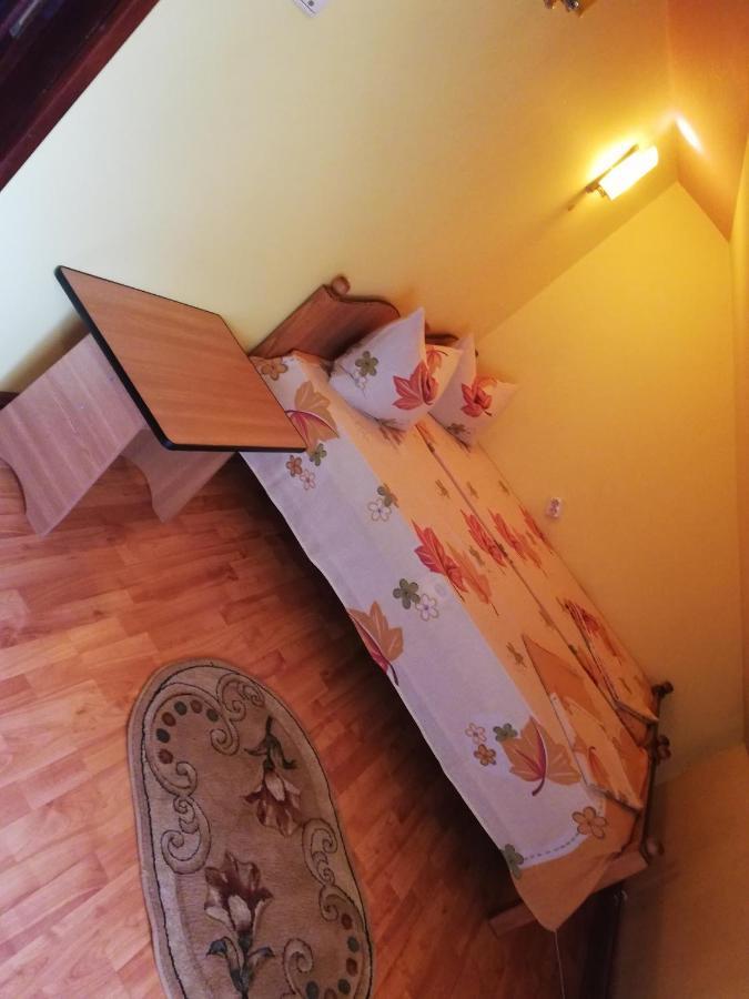 Hotel Casa Cozorici Sadova  Zewnętrze zdjęcie