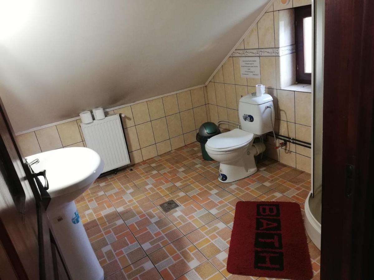 Hotel Casa Cozorici Sadova  Zewnętrze zdjęcie