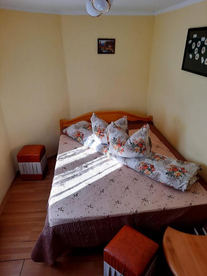 Hotel Casa Cozorici Sadova  Zewnętrze zdjęcie