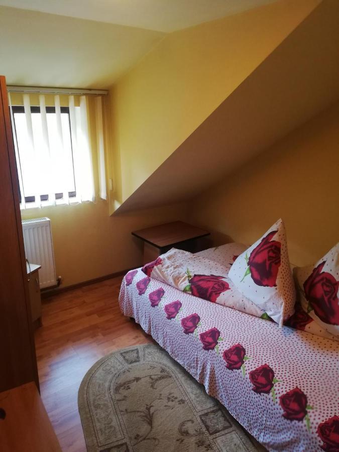 Hotel Casa Cozorici Sadova  Zewnętrze zdjęcie