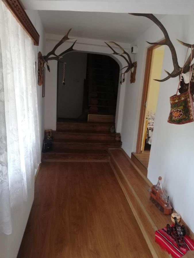 Hotel Casa Cozorici Sadova  Zewnętrze zdjęcie