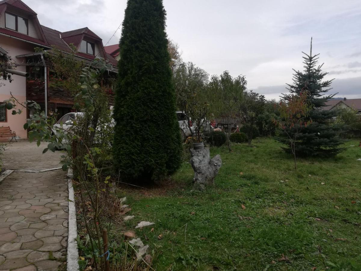 Hotel Casa Cozorici Sadova  Zewnętrze zdjęcie