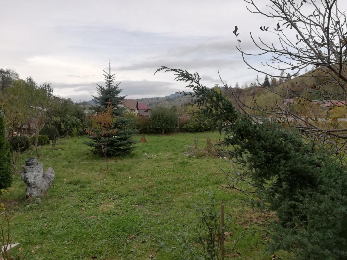 Hotel Casa Cozorici Sadova  Zewnętrze zdjęcie