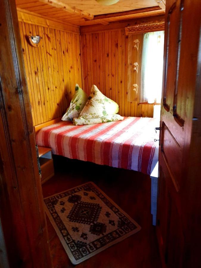 Hotel Casa Cozorici Sadova  Zewnętrze zdjęcie