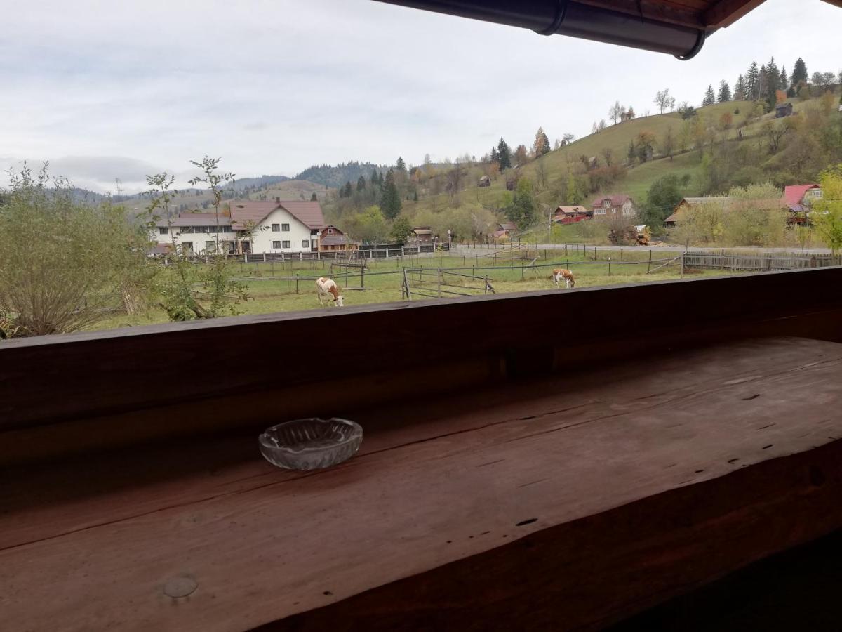 Hotel Casa Cozorici Sadova  Zewnętrze zdjęcie