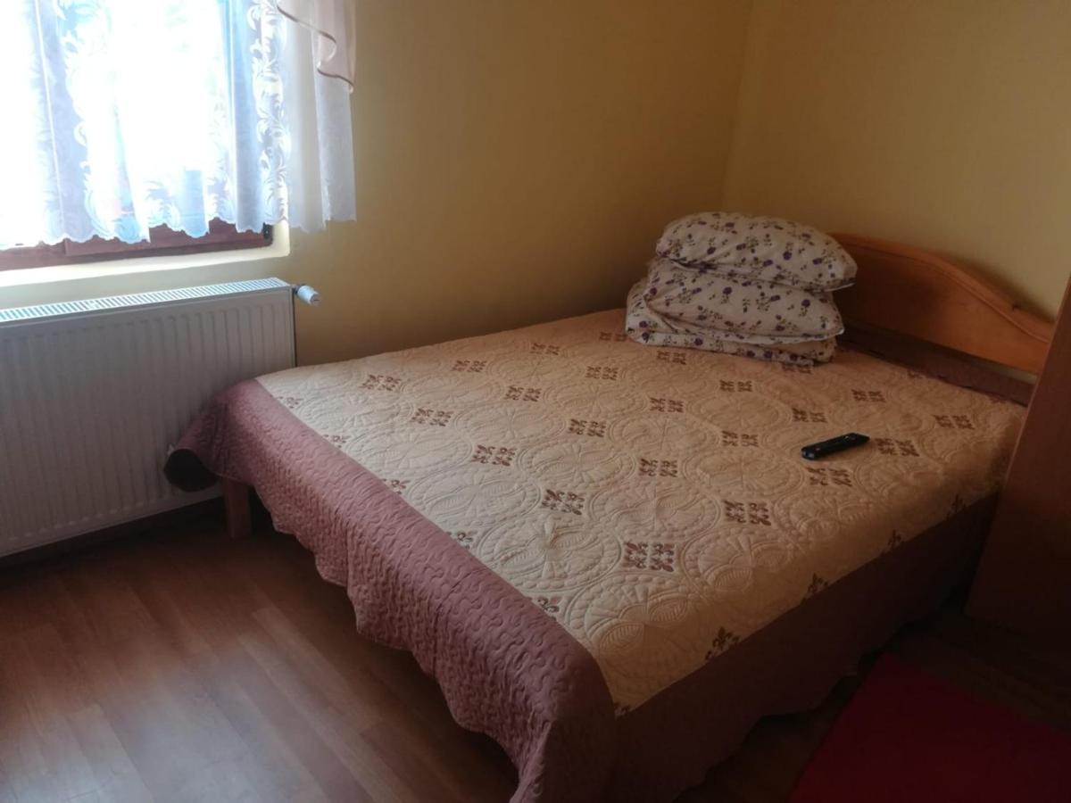 Hotel Casa Cozorici Sadova  Zewnętrze zdjęcie