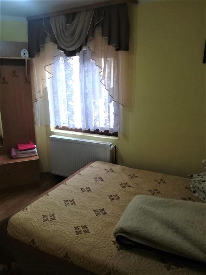 Hotel Casa Cozorici Sadova  Zewnętrze zdjęcie