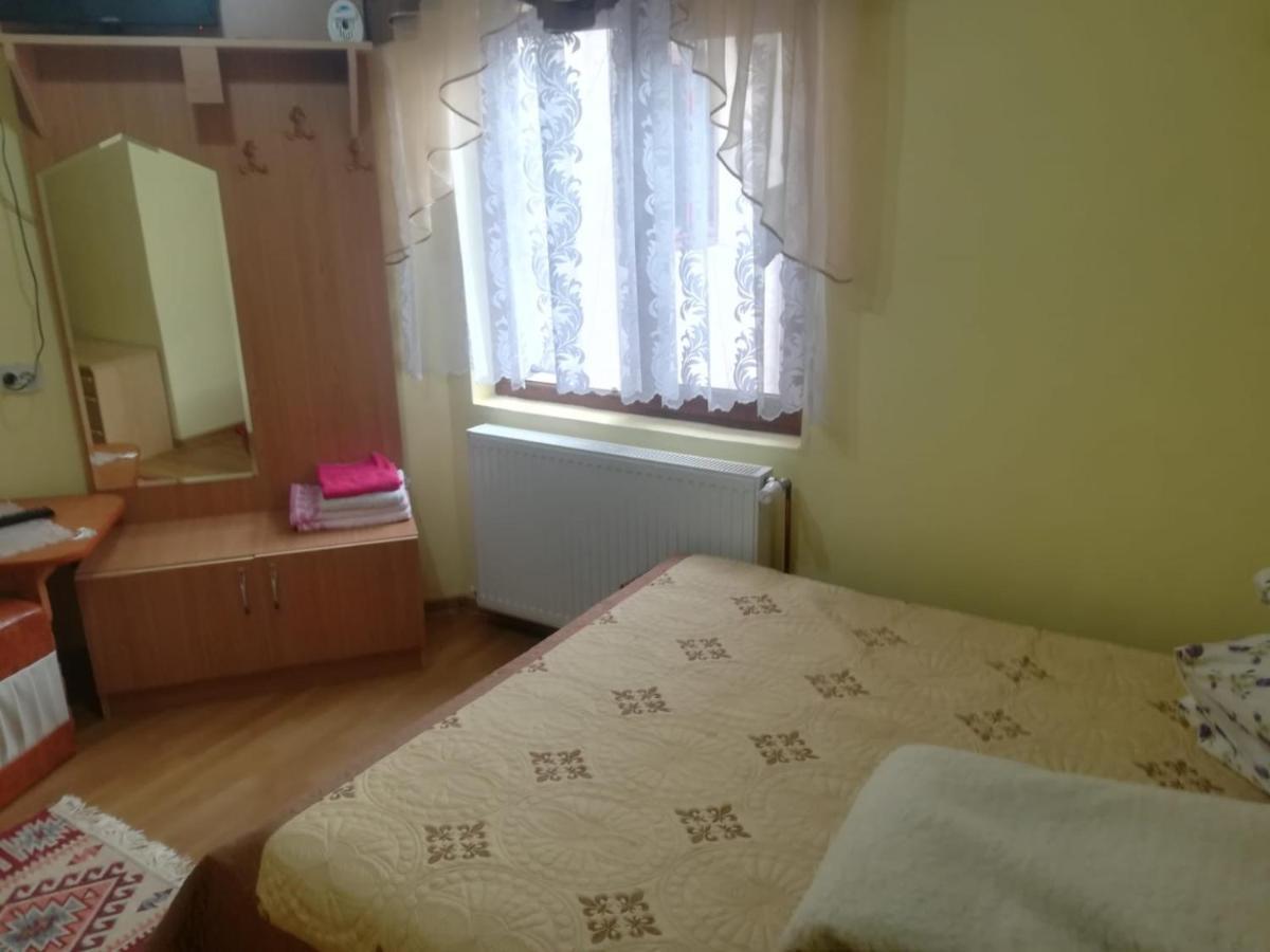 Hotel Casa Cozorici Sadova  Zewnętrze zdjęcie