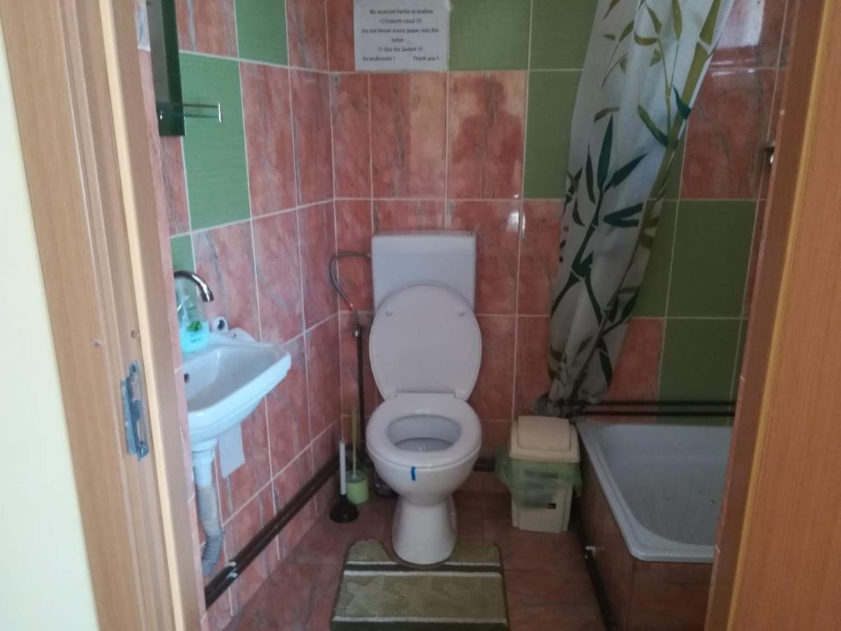 Hotel Casa Cozorici Sadova  Zewnętrze zdjęcie