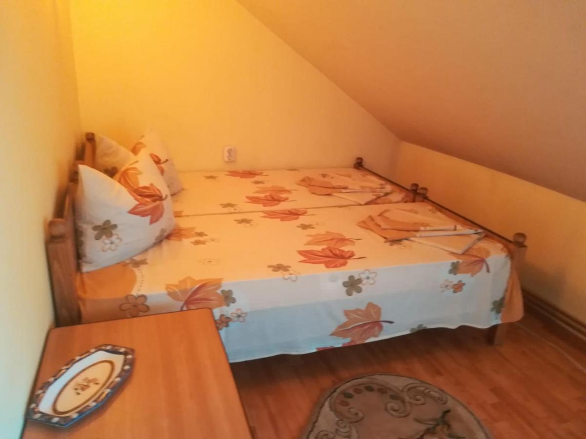 Hotel Casa Cozorici Sadova  Zewnętrze zdjęcie