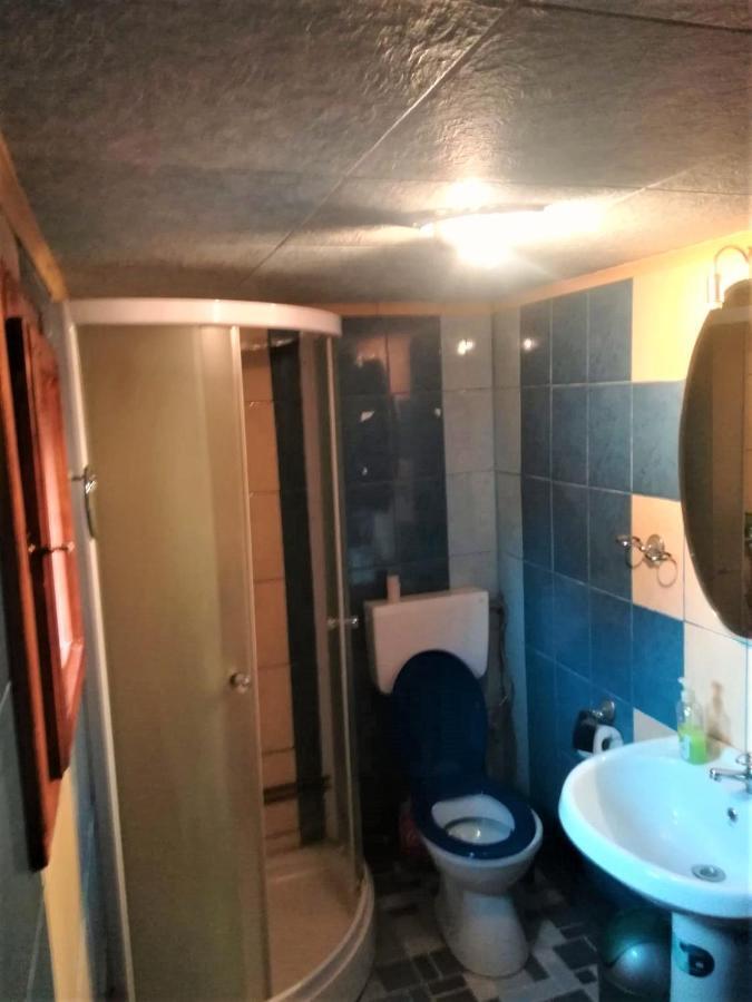 Hotel Casa Cozorici Sadova  Zewnętrze zdjęcie
